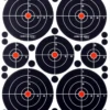 Crosman Visible Impact Targets