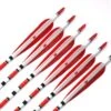 31 Inch Turkey Feather Mixed Carbon Arrows X 10